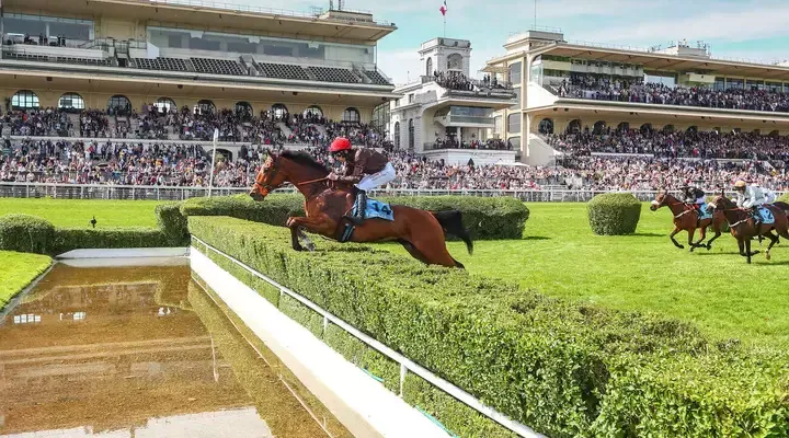 Courses hippiques — réseau de partenaires TS Bloodstock