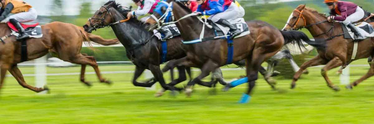 Vente de chevaux de course aux enchères — yearlings et pur-sang